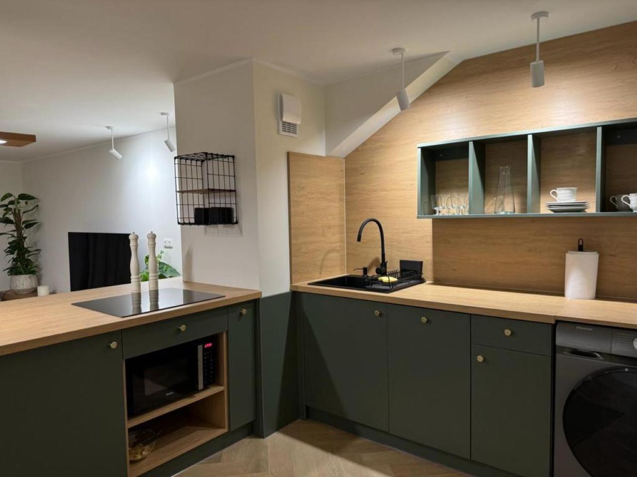 Apartament Ovoc 1.0 Chodzież エクステリア 写真