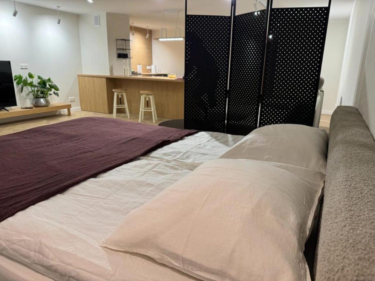 Apartament Ovoc 1.0 Chodzież エクステリア 写真