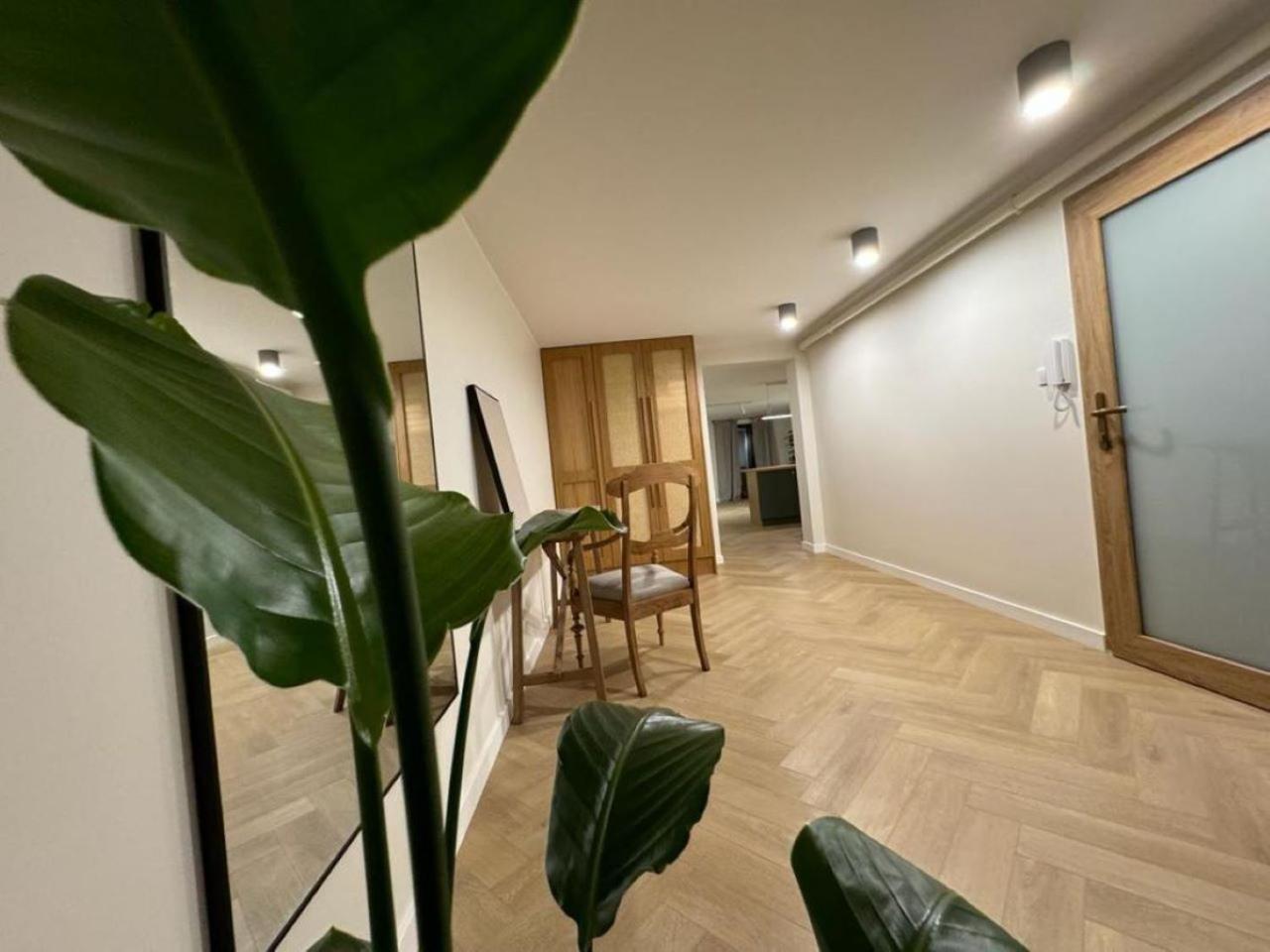 Apartament Ovoc 1.0 Chodzież エクステリア 写真